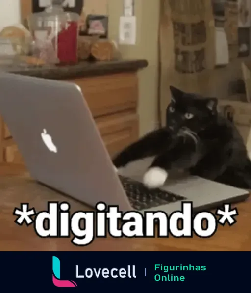 Gato preto e branco digitando furiosamente em um laptop Apple, representando trabalho ou reação rápida. Ótimo para expressar produtividade.