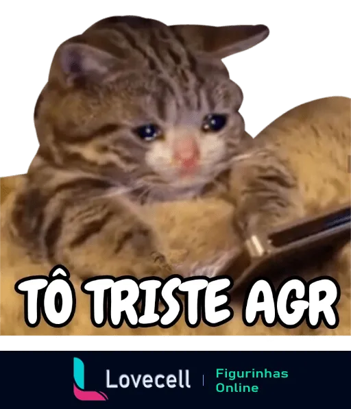 Figurinha de WhatsApp com gato olhando triste para um celular. Texto 'Tô triste agr' destacado, refletindo tristeza humorada.