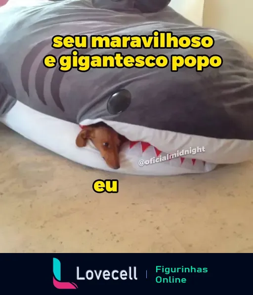 Um cachorro pequeno está deitado dentro de uma cama em formato de tubarão com a cabeça para fora da boca. Texto na imagem diz: 'seu maravilhoso e gigantesco popo' e 'eu'.