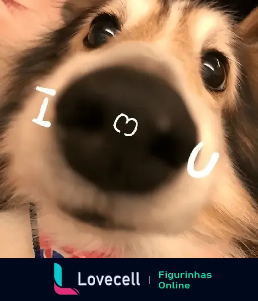 Close-up do focinho de um adorável cachorrinho com olhos grandes e amorosos, com as letras I 💗 U desenhadas sobre a imagem. Perfeito para expressar carinho e amor.