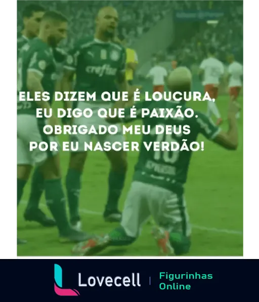 Jogadores do Palmeiras comemorando em campo com a frase 'Eles dizem que é loucura, eu digo que é paixão. Obrigado meu Deus por eu nascer Verdão!'