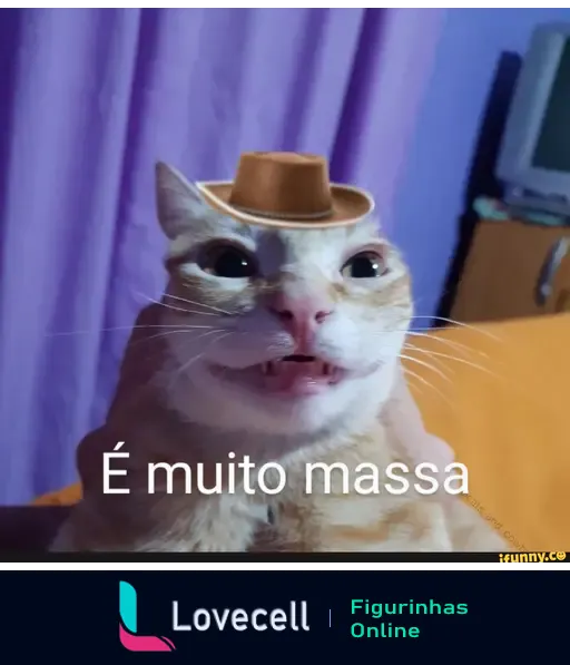 Gato com expressão engraçada e chapéu, acompanhada do texto 'É muito massa'. Meme divertido usado para expressar entusiasmo.