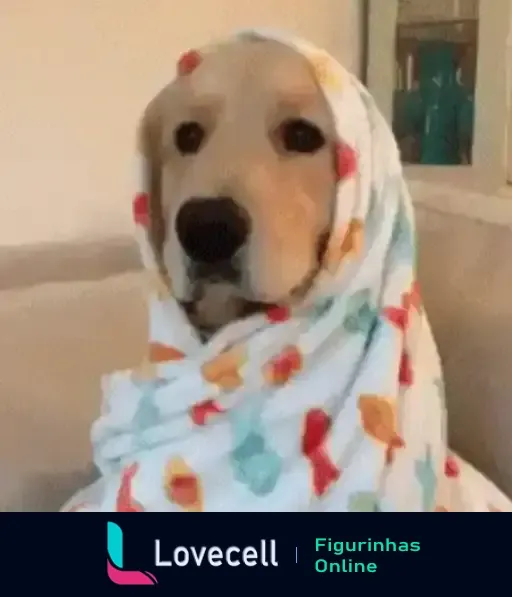 Cachorro deitado coberto com um cobertor fofo durante o clima frio