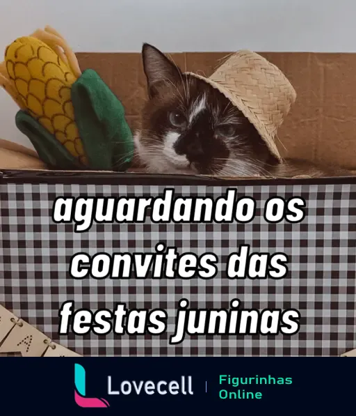 Gato com chapéu de palha em uma caixa, segurando um milho de brinquedo e esperando convites das festas juninas.