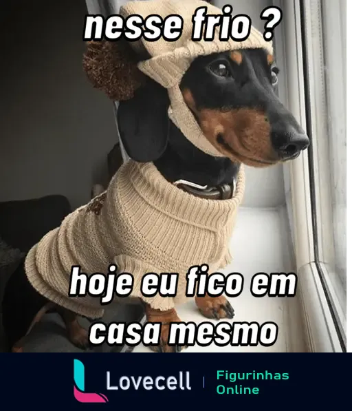 Cachorro com roupa de frio olhando pela janela