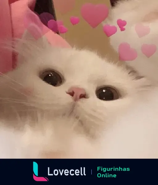 Gatinho branco com olhos grandes e coraçãozinhos cor-de-rosa ao redor, representando muito amor e fofura.