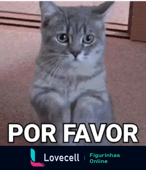 GIF de um gato cinza com uma expressão suplicante e patinhas levantadas, com o texto 'POR FAVOR' abaixo. Ideal para pedir algo delicadamente.