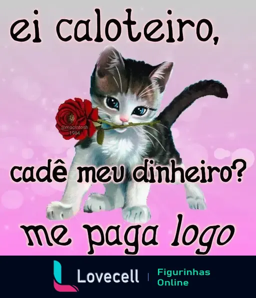 Uma ilustração de um gato fofo segurando uma rosa com o texto: 'ei caloteiro, cadê meu dinheiro? me paga logo'.