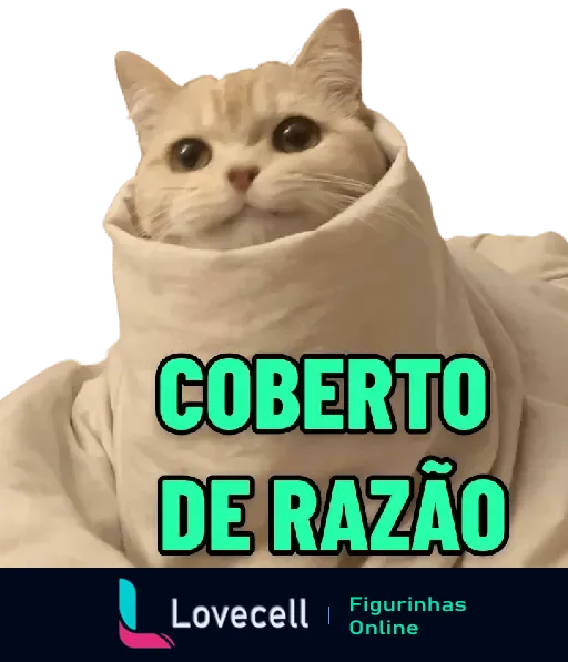 Um gatinho fofo enrolado em um cobertor branco com uma expressão de sabedoria. Texto na imagem: 'COBERTO DE RAZÃO'.