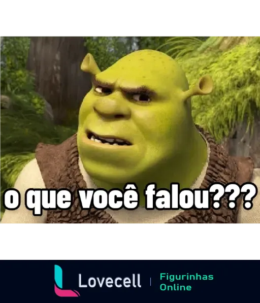 Figurinha do Shrek, personagem do filme de desenho animado, com expressão de surpresa e texto 'o que você falou???' embaixo.