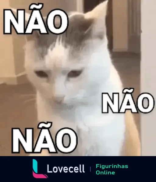 Gato branco e cinza olhando para baixo com tristeza, junto com a palavra 'não' repetida três vezes em diferentes cantos da imagem.