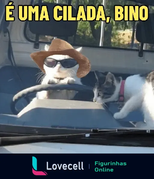 Dois gatinhos em um carro, com um usando chapéu e óculos de sol. Um dos gatos diz: 'É uma cilada, Bino'.