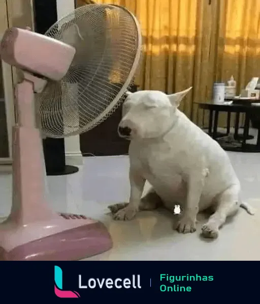 Um bull terrier branco está sentado no chão em frente a um ventilador rosa, com olhos fechados, parecendo relaxado. Ao fundo, há cortinas douradas e uma mesa com alguns objetos.