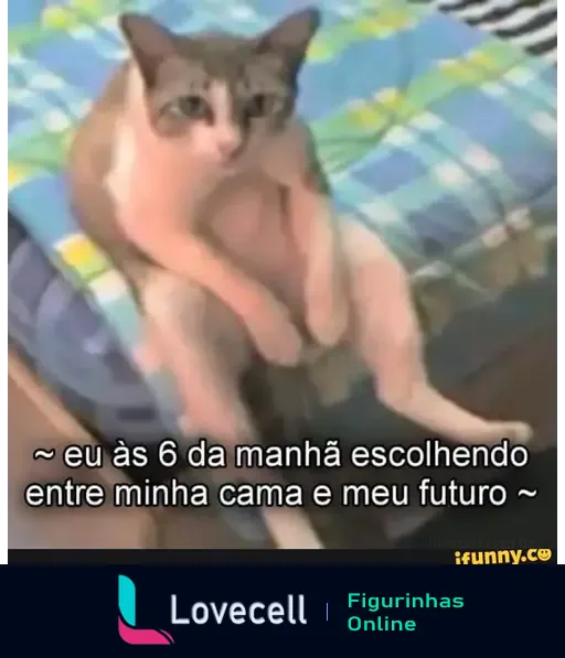 Um gato sentado de forma relaxada em uma cama, com um texto embaixo que diz: 'eu às 6 da manhã escolhendo entre minha cama e meu futuro'. O gato parece contemplativo, refletindo a indecisão comum nas manhãs.