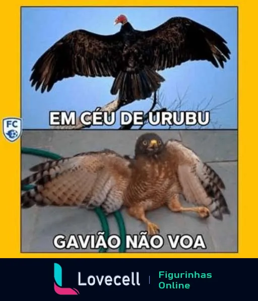 Figurinha com dois pássaros, urubu voando com texto 'Em céu de urubu' e gavião caído com texto 'Gavião não voa' ilustrando o ditado popular