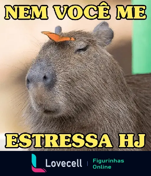 Capivara relaxada com olhos fechados e uma borboleta na cabeça, com a frase 'Nem Você Me Estressa HJ' mostrando tranquilidade.