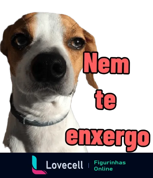 Figurinha de WhatsApp com cão de pequeno porte olhando sério para a câmera e texto 'Nem te enxergo' em vermelho indicando indiferença