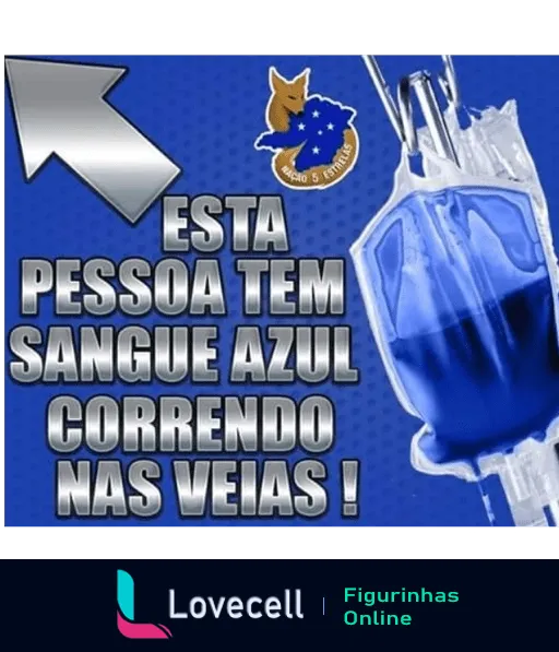 Bolsa de sangue azul com logo do Cruzeiro e frase 'Esta pessoa tem sangue azul correndo nas veias!', simbolizando a paixão dos torcedores