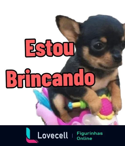 Cachorro Chihuahua brincando sentado em brinquedo colorido com texto 'Estou Brincando' em destaque