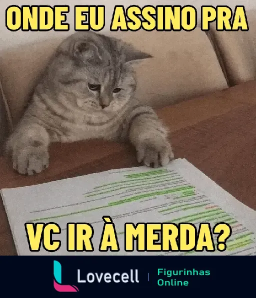 Gato cinza olhando um documento com texto 'onde eu assino pra vc ir à merda?' em cima. Frase engraçada e provocativa.