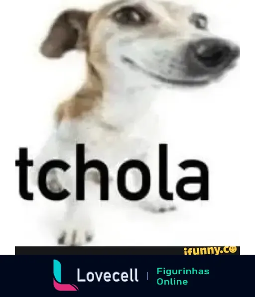 Imagem de um cachorro com expressão engraçada, acompanhado pela palavra 'tchola' em destaque. Título: 'meme tchola - cachorro engraçado'. Tags: 'meme, memes, tchola'.