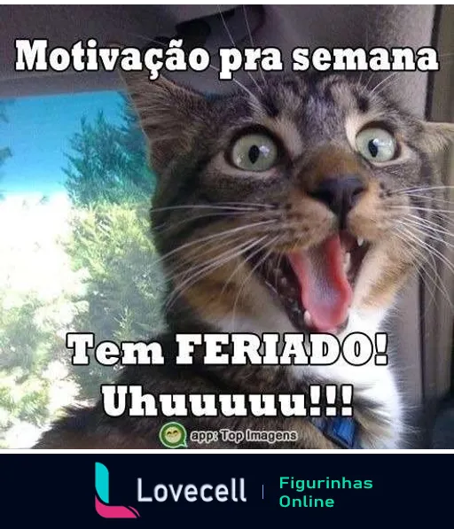 Figurinha de gato animado no carro com texto 'Motivação pra semana' e 'Tem FERIADO! Uhuuuuuu!!!'