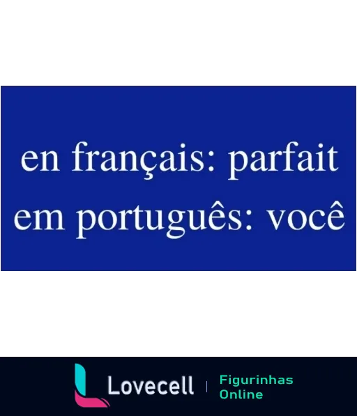 Figurinha com as palavras 'parfait' em francês e 'você' em português sobre fundo azul, indicando que você é perfeito na visão de quem envia