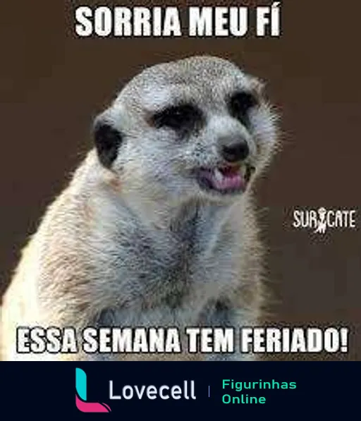 Suricate sorrindo com texto 'Sorria meu fi, essa semana tem feriado!' num estilo de meme, transmitindo bom humor e antecipação para o feriado