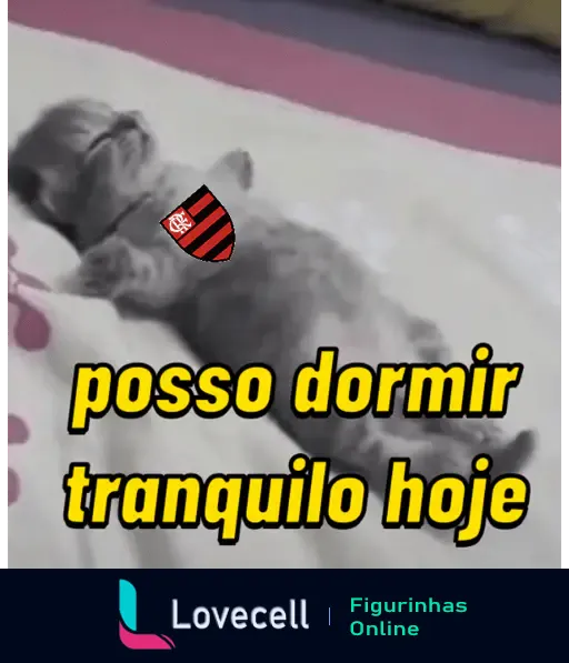 Um gato deitado de costas com uma pata levantada, usando um escudo do Flamengo no peito. Texto sobreposto diz: 'posso dormir tranquilo hoje'.