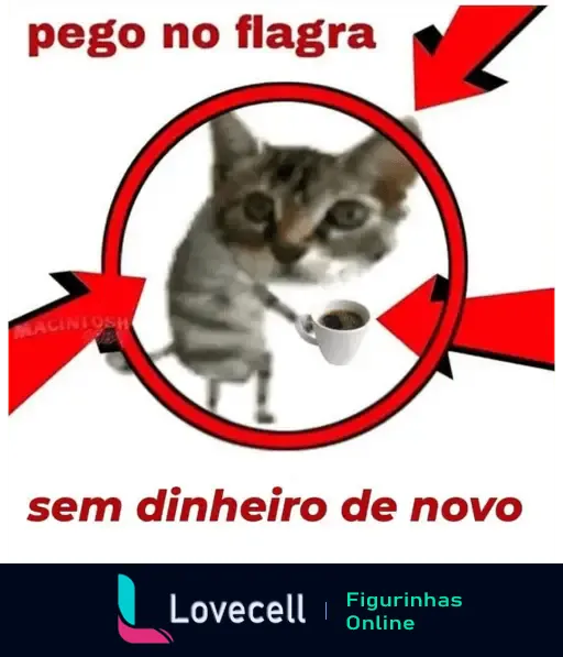 Gato pego no flagra sem dinheiro pedindo pix - Humor em figurinha de WhatsApp