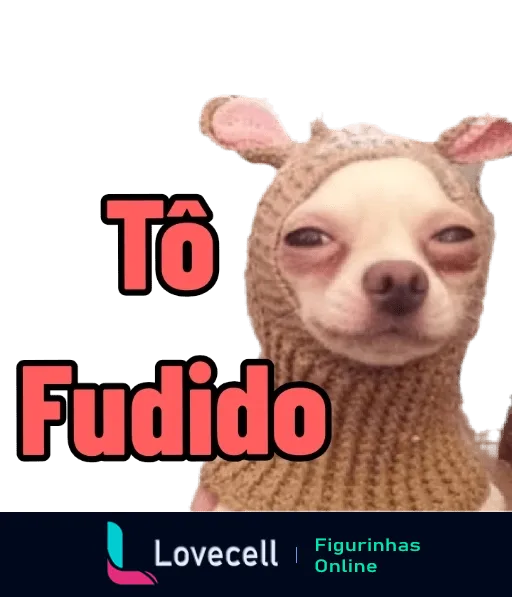 Figurinha de WhatsApp com cachorro Chihuahua vestindo suéter bege e expressão sonolenta, com texto 'Tô Fudido' indicando desânimo