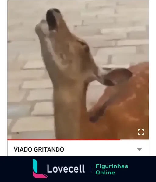 Uma imagem de um cervo gritando, com o título 'VIADO GRITANDO' exibido na parte inferior. Cervo é um animal de pelagem marrom claro.