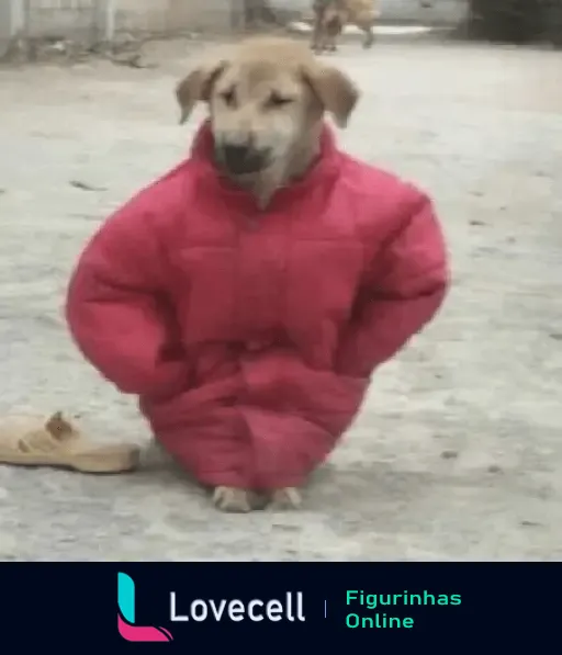 Cachorro vestido com casaco rosa em clima frio