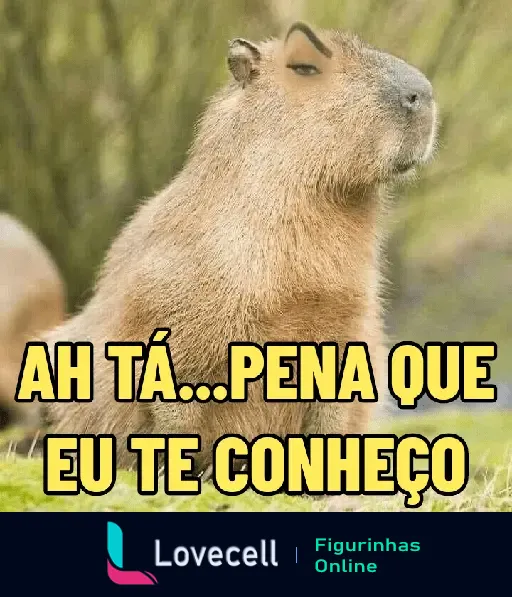 Capivara com expressão sarcástica acompanhada do texto 'Ah tá... pena que eu te conheço' em letras grandes e amarelas.