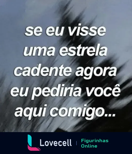 Em uma imagem desfocada com palmeiras e céu ao fundo, lê-se a indireta romântica: 'se eu visse uma estrela cadente agora eu pediria você aqui comigo...'.