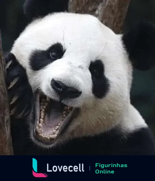 Figurinha de um panda bocejando com pelagem preta e branca, expressando tranquilidade e preguiça.