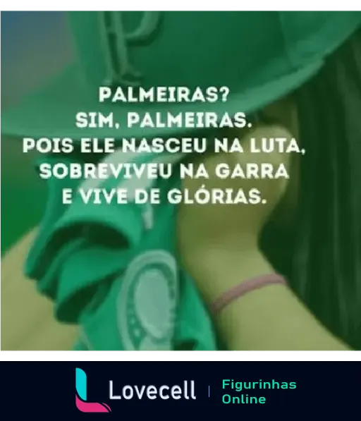 Imagem de fã do Palmeiras segurando a camiseta verde com o emblema do time e mensagem: Palmeiras? Sim, Palmeiras. Pois ele nasceu na luta, sobreviveu na garra e vive de glórias.