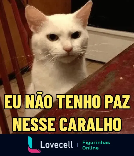 Gato branco com expressão de insatisfação sentado à mesa com a frase 'Eu não tenho paz nesse caralho' em fonte amarela.