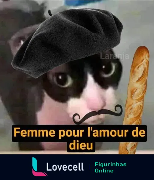 Gato com boina preta e bigode segurando uma baguete ao lado e texto em francês 'Femme pour l'amour de dieu', expressando humor