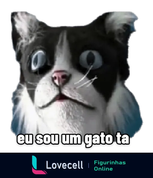 Figurinha de gato surpreso com texto 'eu sou um gato tá', expressão humorística