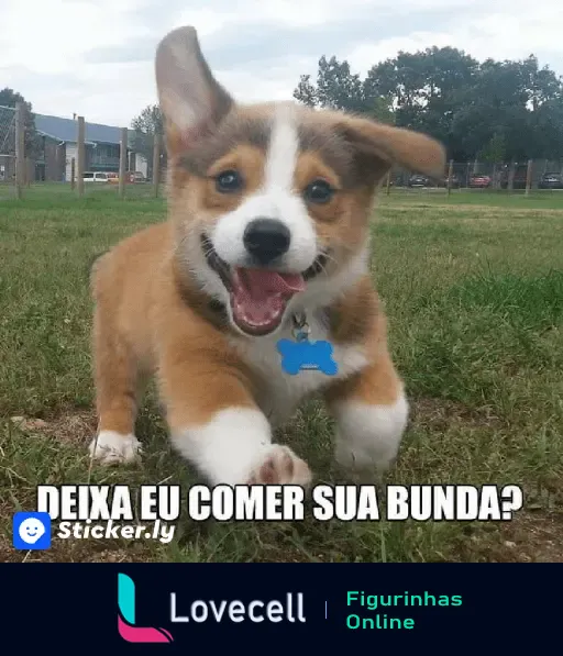 Cachorro correndo feliz em um gramado com a frase 'DEIXA EU COMER SUA BUNDA?'.