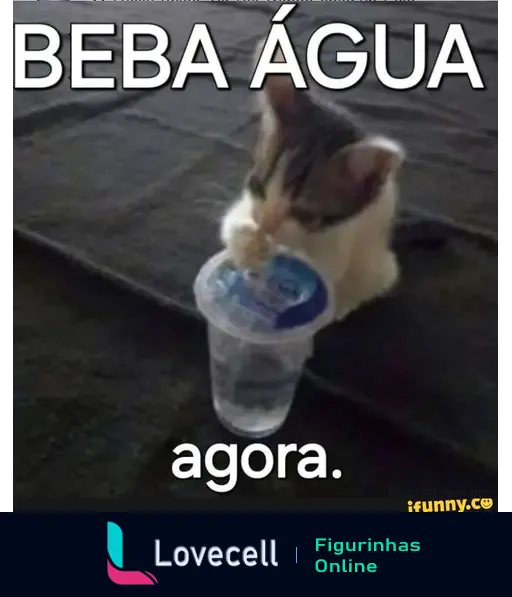 Gato brincando com um copo de água, com o texto 'BEBA ÁGUA AGORA.' em destaque. Imagem divertidamente incentivando a hidratação.