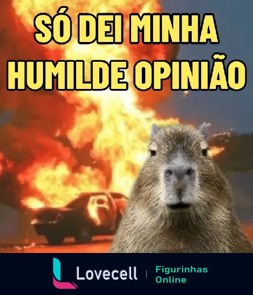 Capivara com cara de surpresa em frente a explosão, com texto 'SÓ DEI MINHA HUMILDE OPINIÃO'. Uma divertida figurinha de capivara.