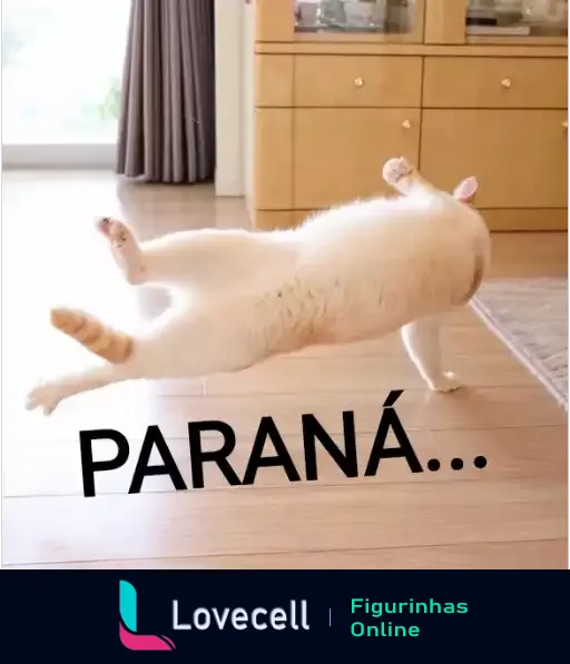 Gato branco pulando acrobaticamente com corpo estendido e patas para trás na cozinha, com a palavra 'PARANÁ' em destaque