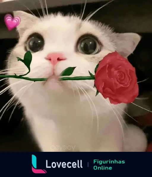 Gato fofo com grandes olhos segurando uma rosa vermelha na boca, com um coração rosa flutuando ao lado e expressão amorosa.