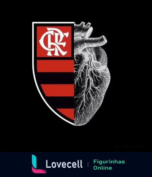 Imagem de um escudo dividido ao meio. À esquerda, há o emblema do Flamengo; à direita, um coração anatômico. Título: 'Coração Rubro-Negro: amor ao Flamengo'.