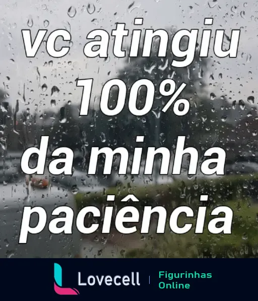 Figura de WhatsApp com a frase 'vc atingiu 100% da minha paciência' sobreposta a uma imagem de uma janela molhada de chuva, sugerindo irritação e falta de paciência.