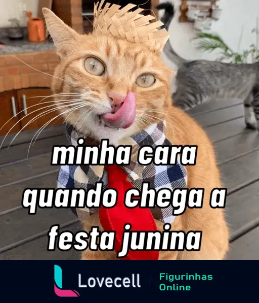 Um gato laranja vestido de caipira com chapéu de palha, gravata e camisa xadrez, lambendo o focinho. Texto: 'minha cara quando chega a festa junina'.