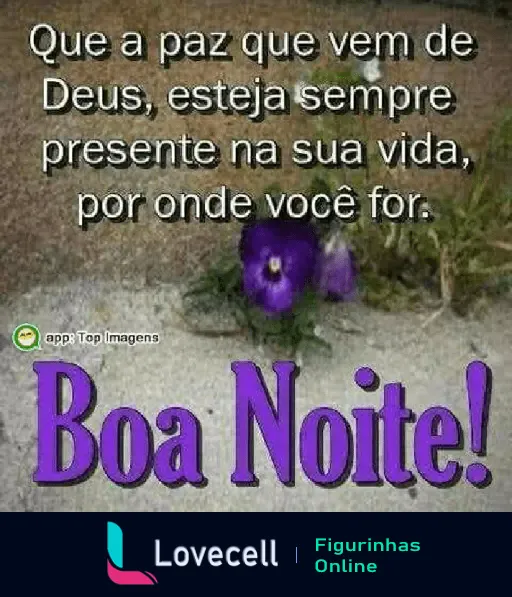 Figurinha de Boa Noite com Mensagem de Paz Divina