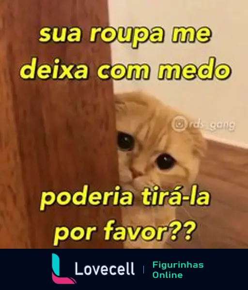 Gato curioso espiando atrás de uma porta com texto: 'sua roupa me deixa com medo' e 'poderia tirá-la por favor??'.